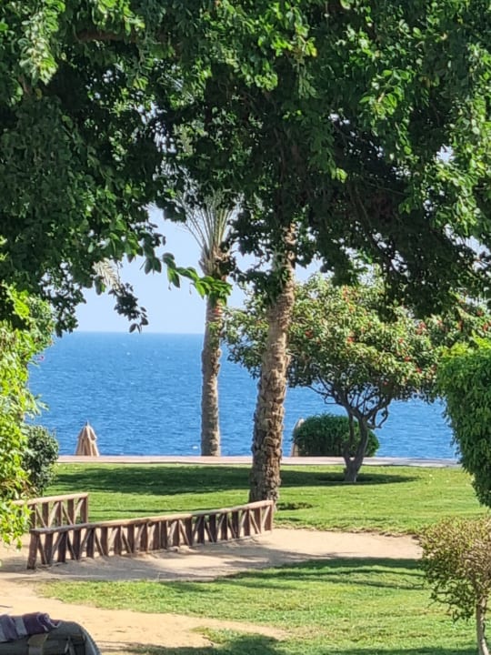 Ausblick Serenity Alpha Beach