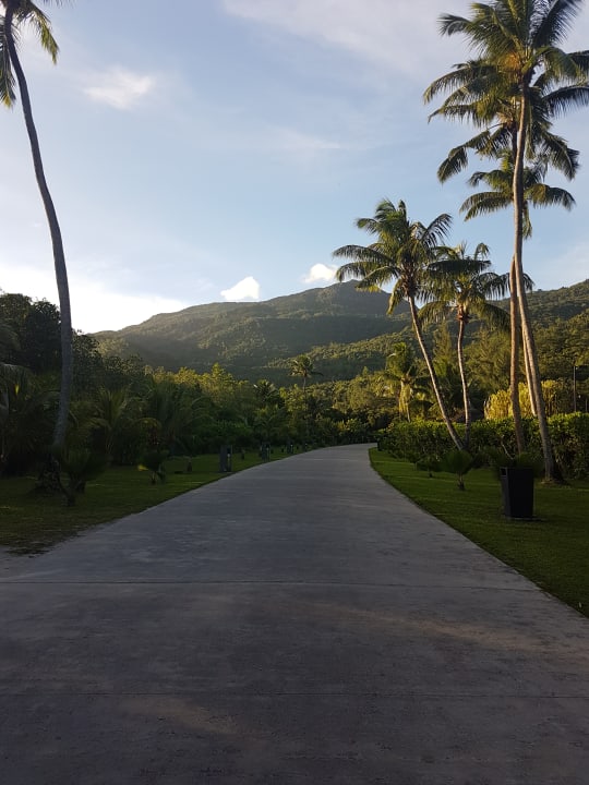 Sonstiges Constance Ephelia