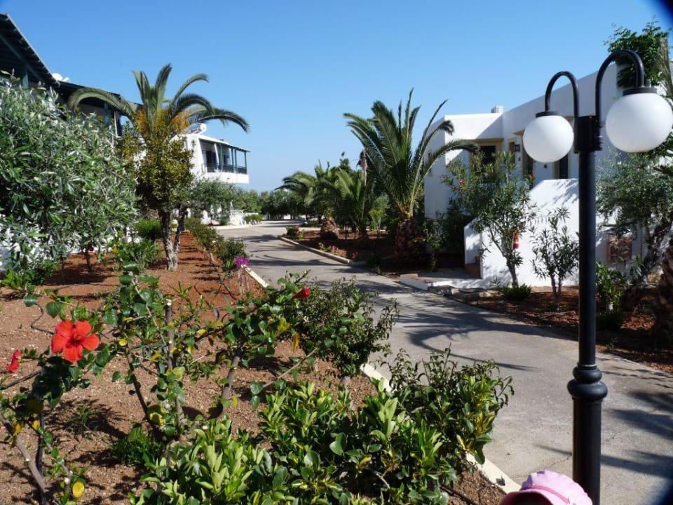 Gartenanlage TUI SUNEO Chrissi Amoudia