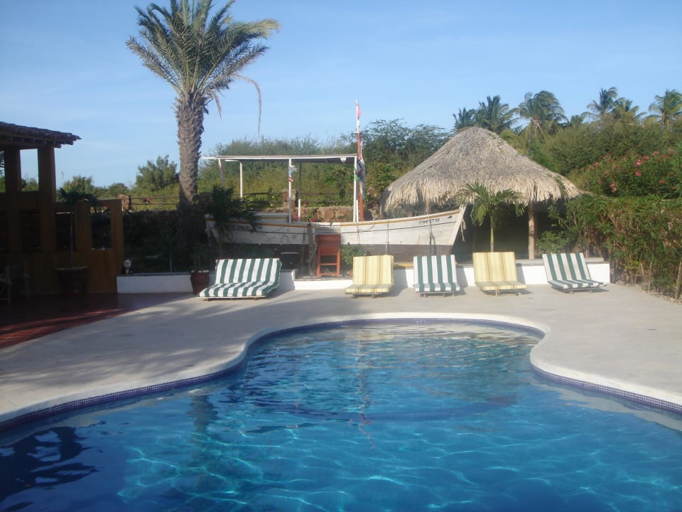 Poolanlage und bequeme VIP Liegestuehle Guesthouse StevieWonderLand