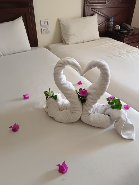 Zimmer Imperial Shams Abu Soma