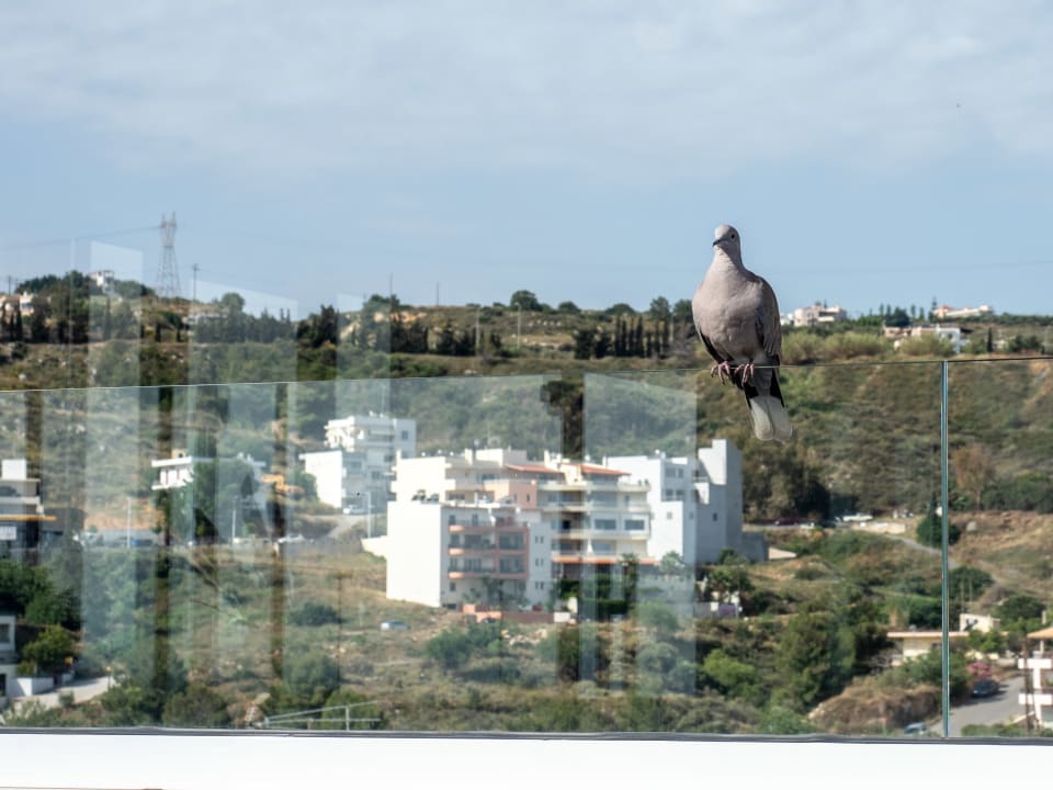 Blick aus dem Frühstücksraum mit Besucher Menta City Boutique