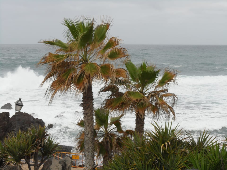 Wunderschöner Strand Be Live Tenerife - Adults only