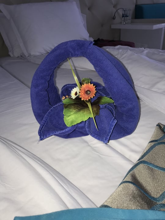 Zimmer Sentido Marea