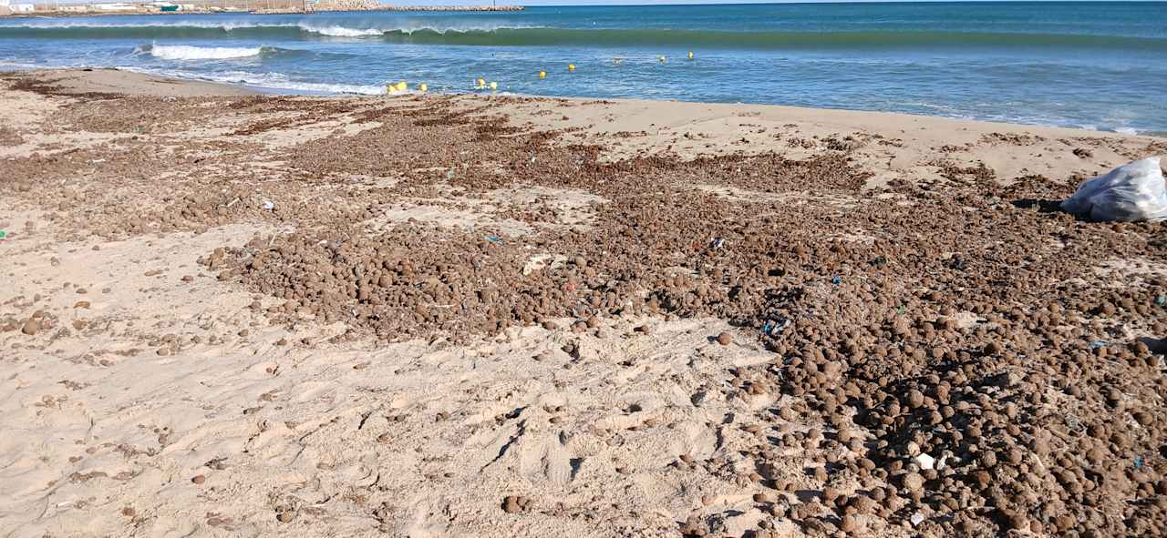 Strand Medina Solaria & Thalasso