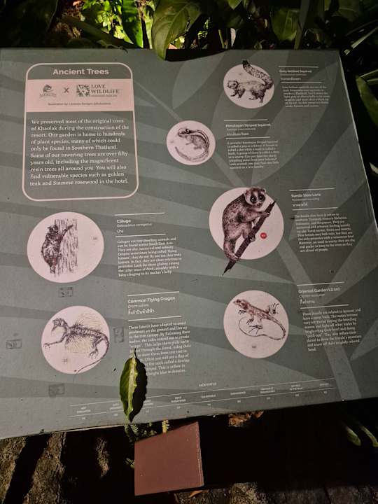 Gartenanlage Khao Lak Merlin Resort