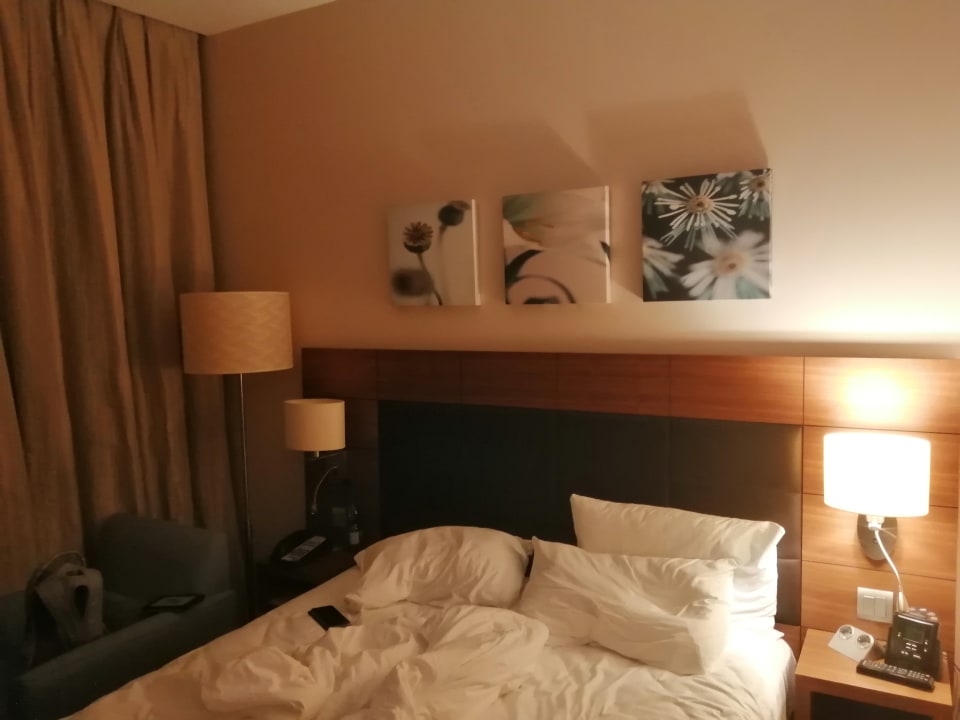 Zimmer Hilton Garden Inn Frankfurt Airport