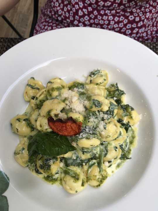 Gastro Acanthus Cennet Barut Collection