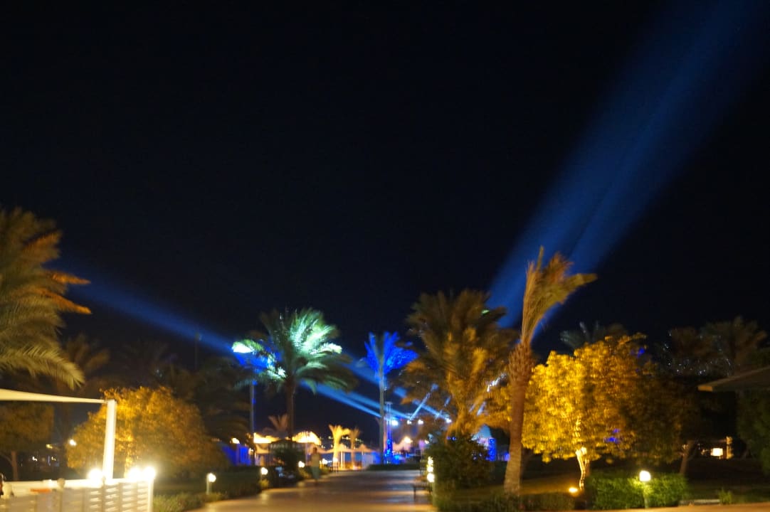 Gartenanlage Desert Rose