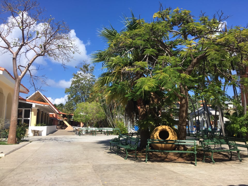 Gartenanlage Hotel Roc Barlovento