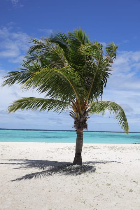 Strand Adaaran Select Meedhupparu Island Resort - Premium All Inclusive