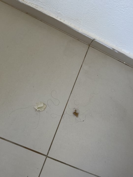 Zimmer Club Palm Azur