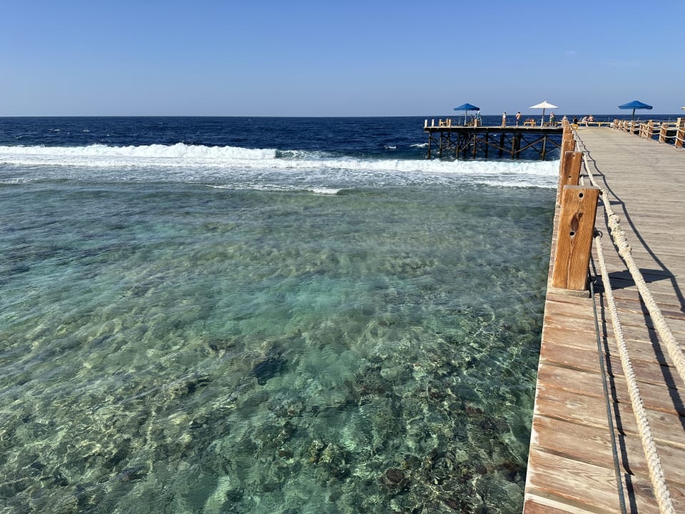 Strand Pickalbatros Sea World Resort - Marsa Alam