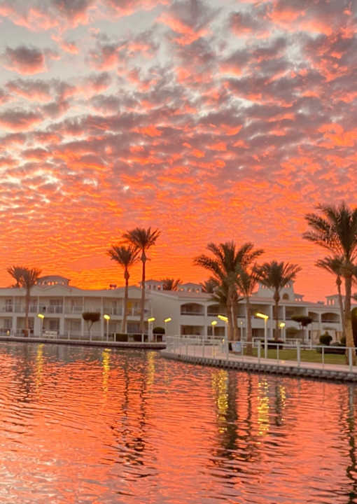 Gartenanlage Pickalbatros Dana Beach Resort - Hurghada