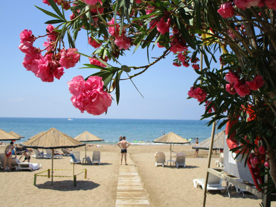 Strand Hotel Defne Star