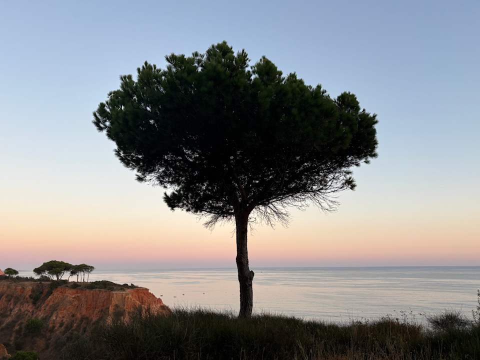 Ausblick PortoBay Falésia
