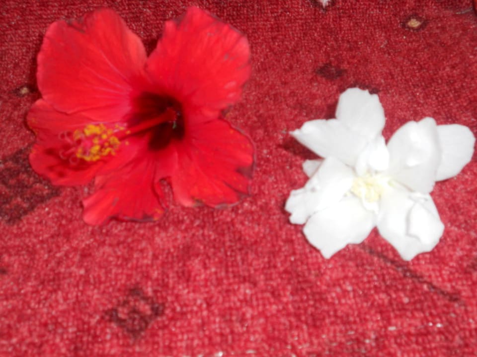 Deko Mira Meridia Beach Hotel