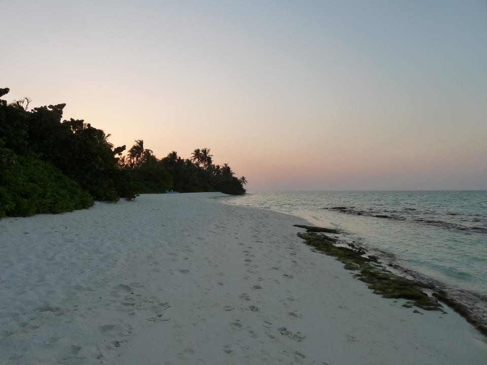 Abendstimmung Kuramathi Maldives