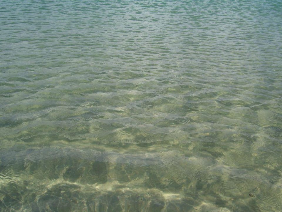 glasklares Wasser SBH Crystal Beach Hotel & Suites