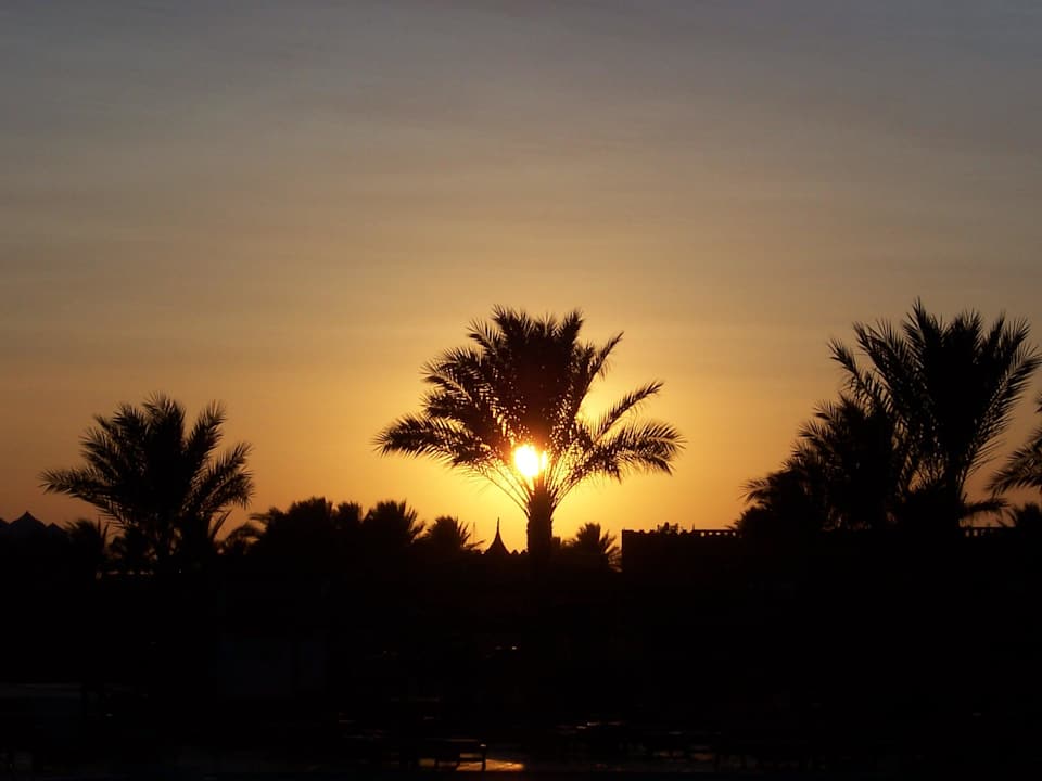 Sonnenuntergang Pickalbatros Dana Beach Resort - Hurghada
