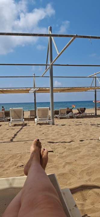 Strand Seashell Vega