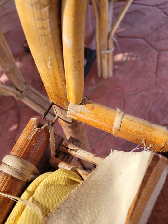 Gastro Bliss Nada Beach Resort