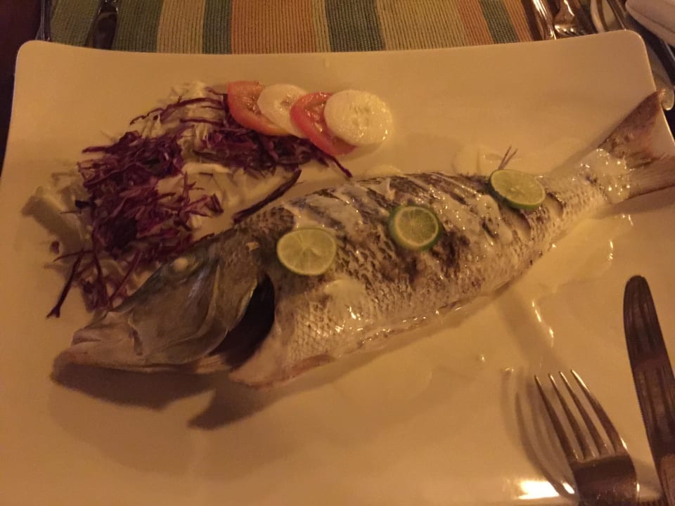 Fisch vom Nachtangeln Summer Island Maldives