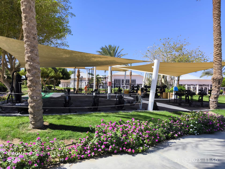 Gartenanlage Desert Rose