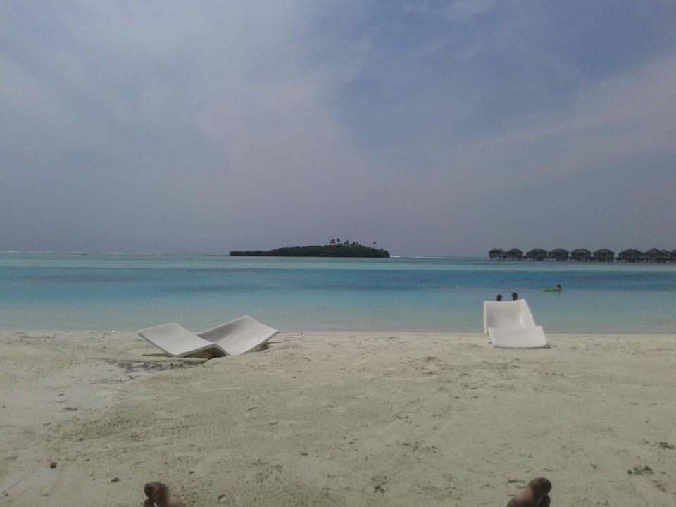 Blick von der Liege Cinnamon Dhonveli Maldives