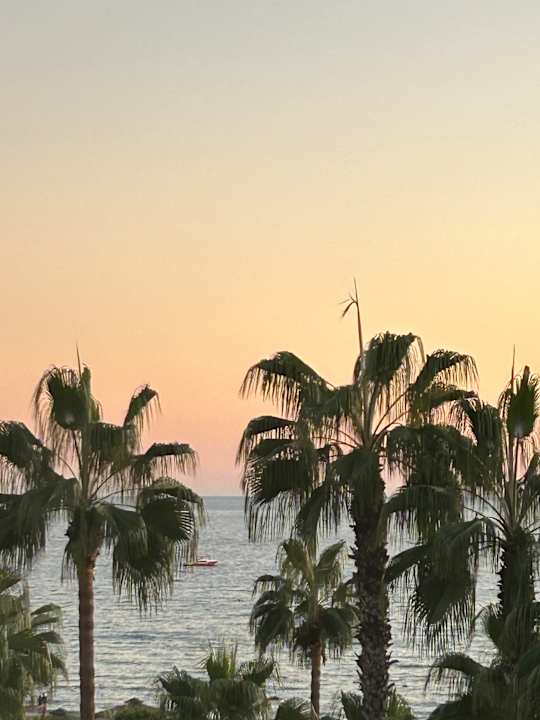 Strand Kamelya Aishen Club