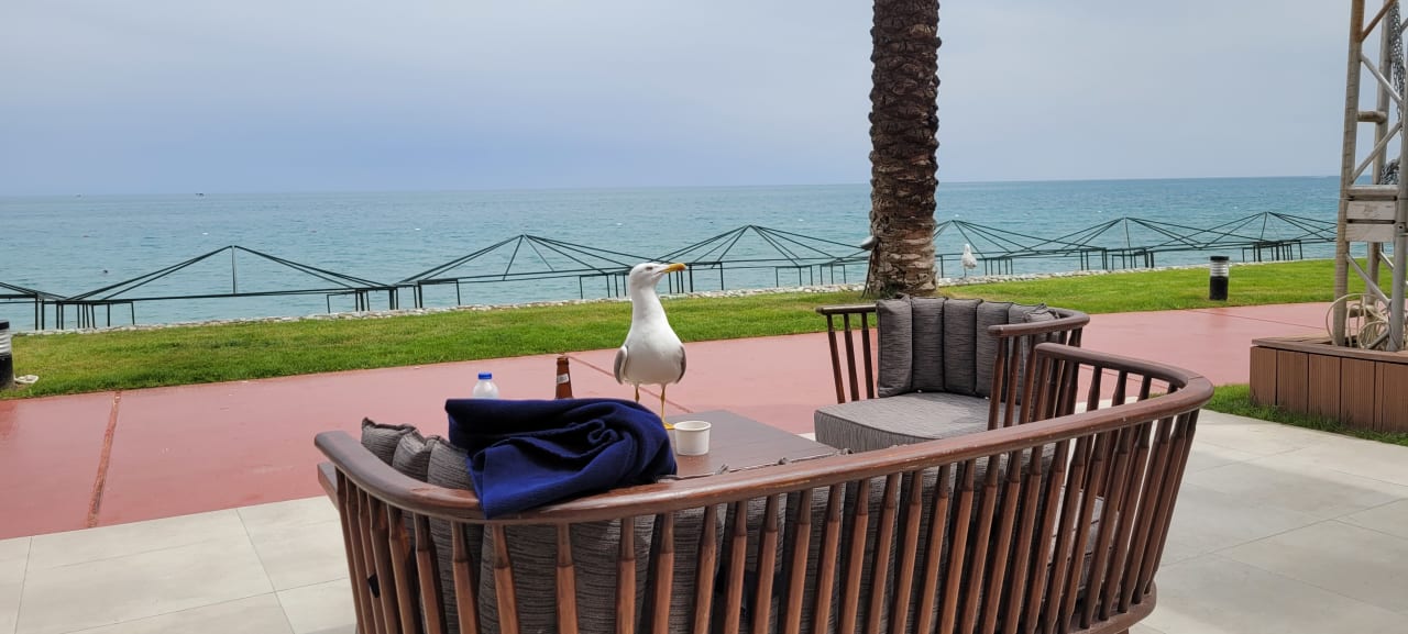 Strand TUI MAGIC LIFE Beldibi +16