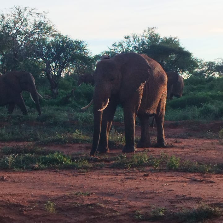 Sport & Freizeit Diani Sea Resort
