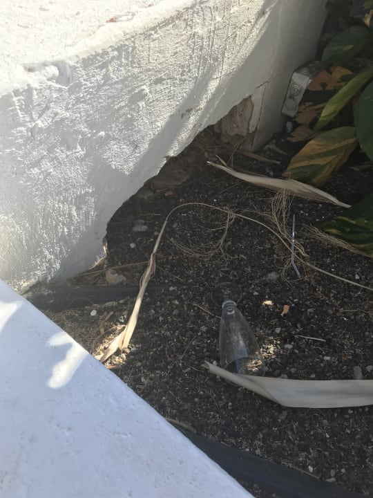 Gartenanlage Club Jandia Princess