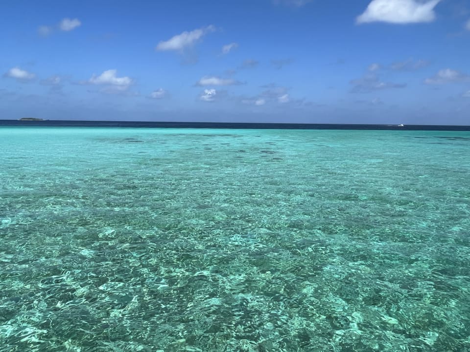 Strand Summer Island Maldives