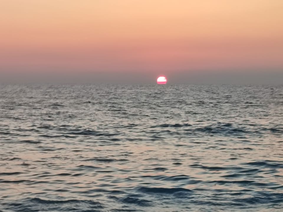 Ausblick Gardenia Hotel