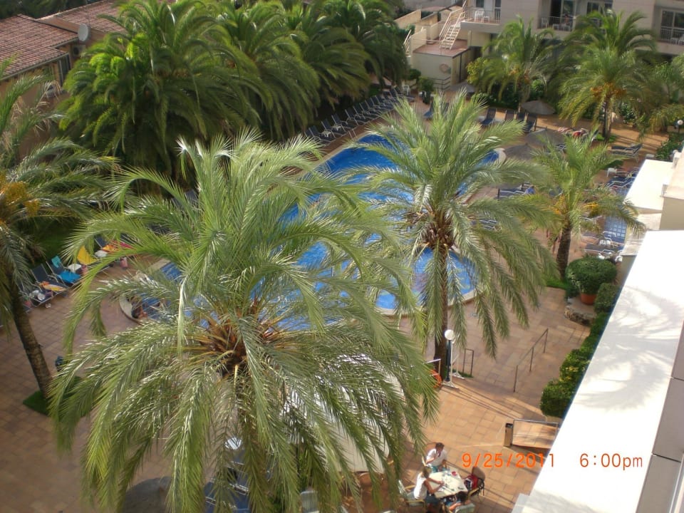 Pool Hotel Cosmopolitan