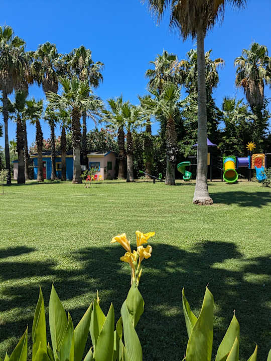 Gartenanlage Royal Atlantis Beach Hotel