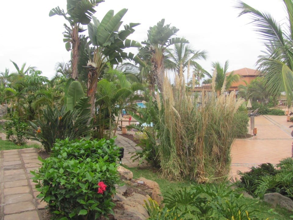 На территории отеля H10 Costa Adeje Palace