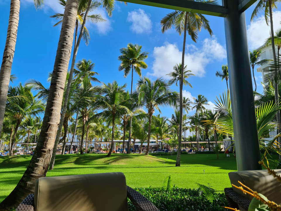 Gartenanlage Hotel Riu Palace Macao - Adults only