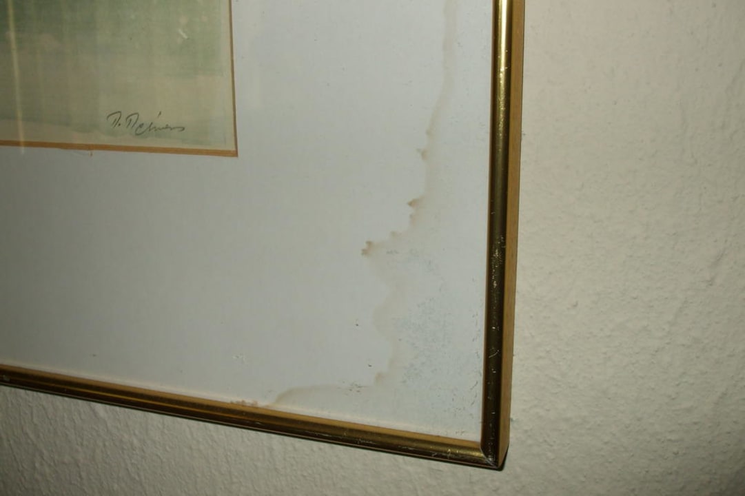 Schimmelbefall an den Kunstdruckbildern Calimera Sirens Beach