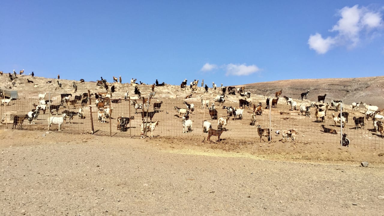 Außenansicht Bakour Fuerteventura La Pared