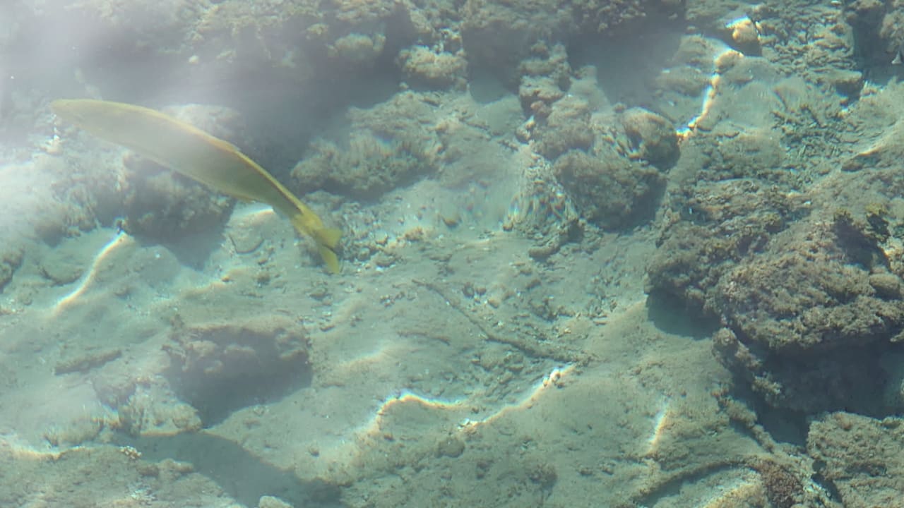 Strand SUNRISE Garden Beach Resort