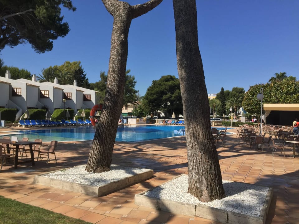Pool Grupotel Los Principes & Spa