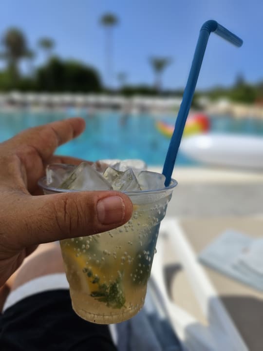 Gastro Arycanda Kirman Premium