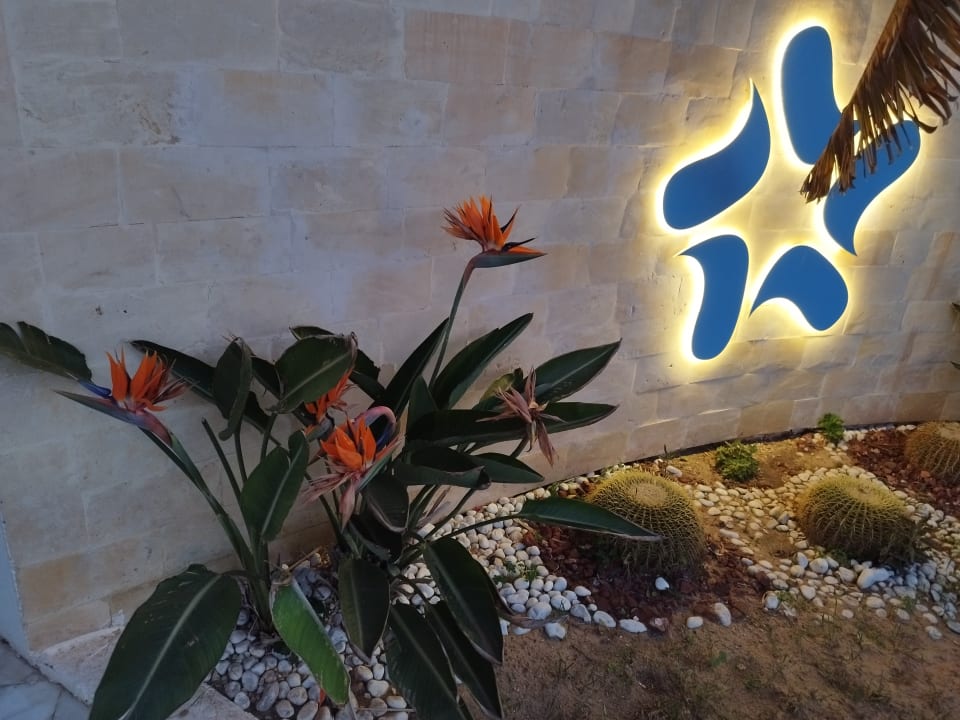 Gartenanlage TUI MAGIC LIFE Penelope Beach