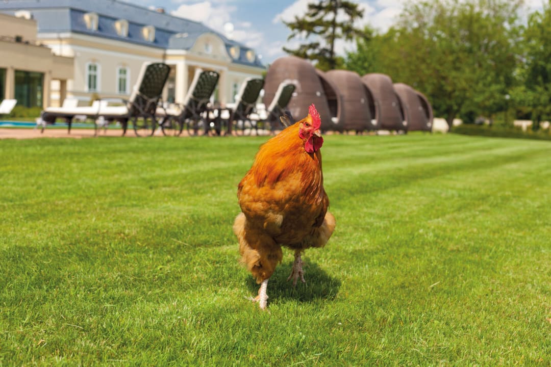 Gartenanlage Hotel Amade Château