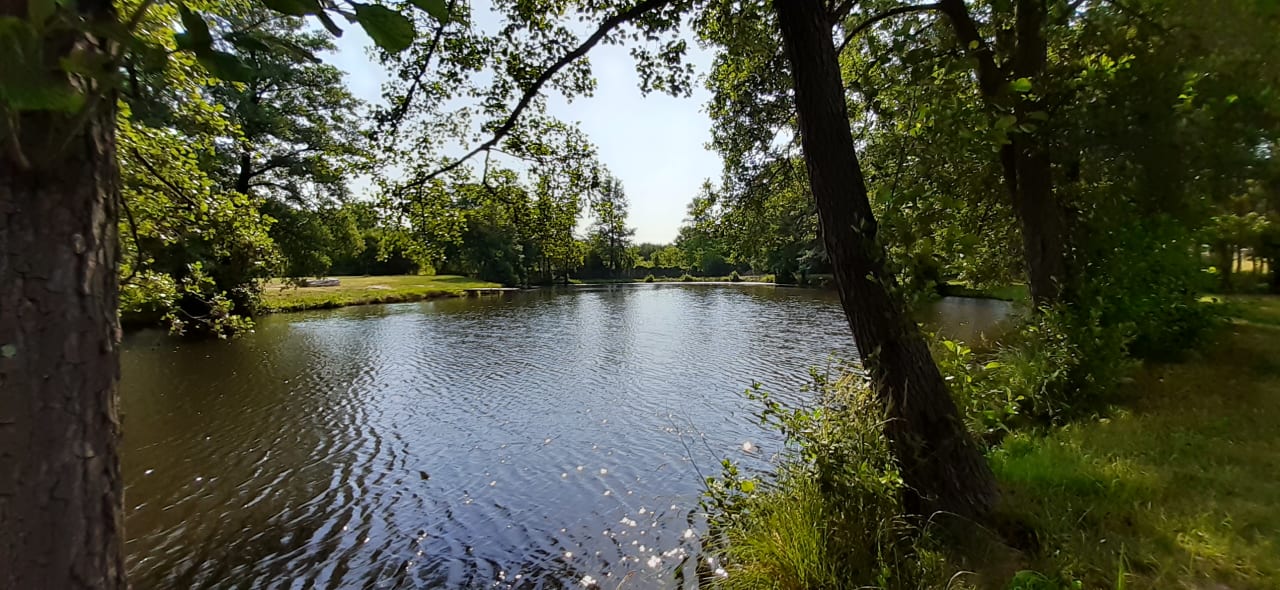 Ausblick Wellness Hotel Spark