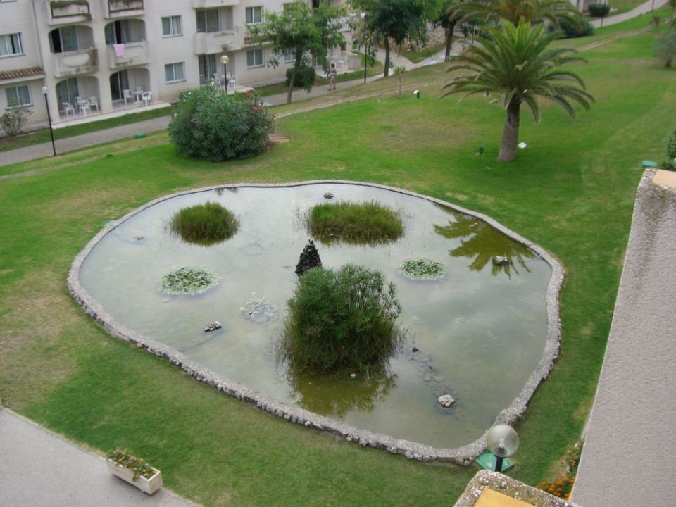 Parkanlage blau punta reina