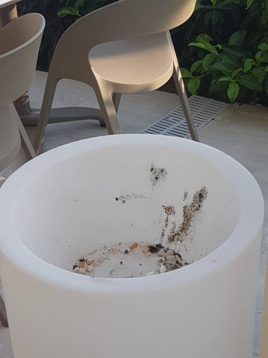 Sind eigentlich Leuchten Riolavitas Resort & Spa