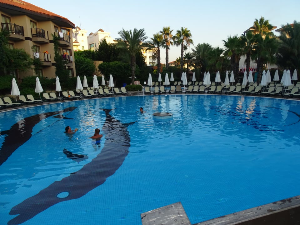 Pool Alba Resort Hotel